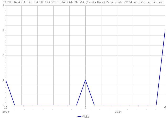CONCHA AZUL DEL PACIFICO SOCIEDAD ANONIMA (Costa Rica) Page visits 2024 