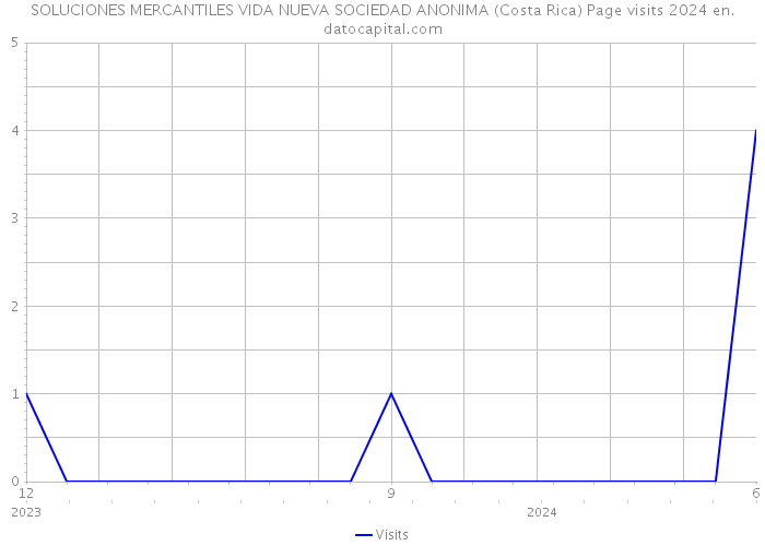 SOLUCIONES MERCANTILES VIDA NUEVA SOCIEDAD ANONIMA (Costa Rica) Page visits 2024 