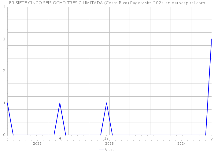 FR SIETE CINCO SEIS OCHO TRES C LIMITADA (Costa Rica) Page visits 2024 