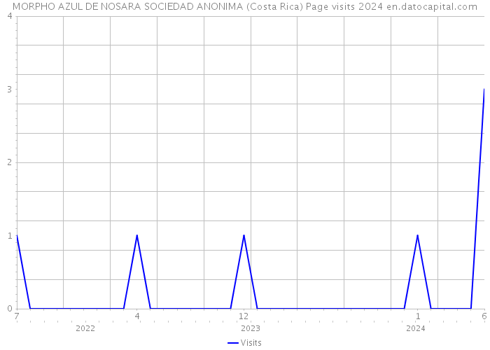 MORPHO AZUL DE NOSARA SOCIEDAD ANONIMA (Costa Rica) Page visits 2024 