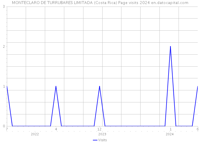 MONTECLARO DE TURRUBARES LIMITADA (Costa Rica) Page visits 2024 
