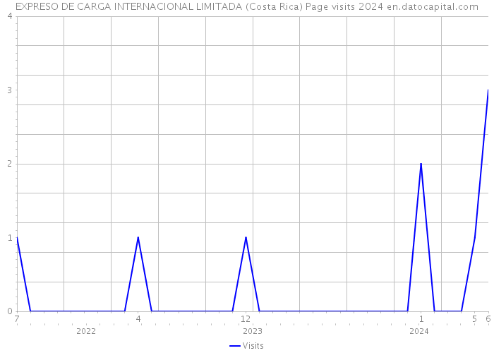 EXPRESO DE CARGA INTERNACIONAL LIMITADA (Costa Rica) Page visits 2024 