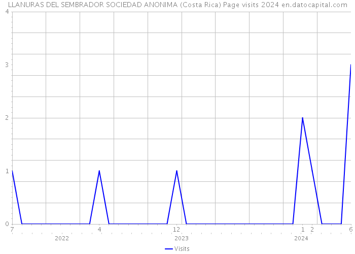 LLANURAS DEL SEMBRADOR SOCIEDAD ANONIMA (Costa Rica) Page visits 2024 
