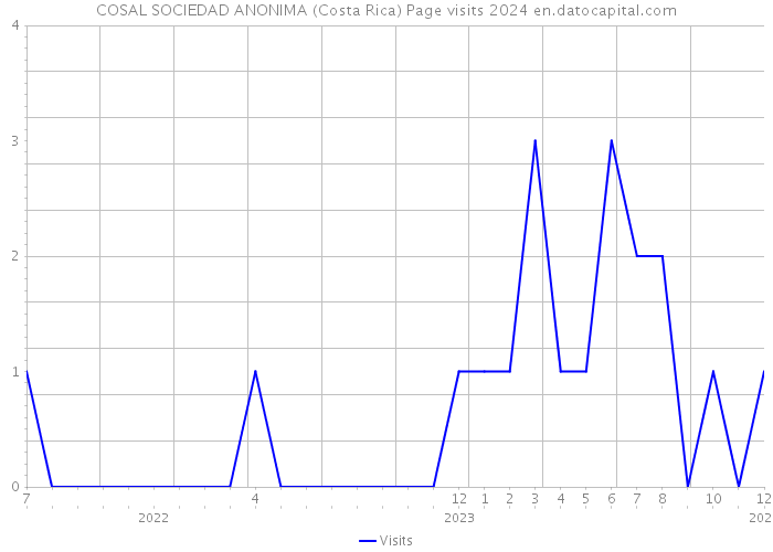COSAL SOCIEDAD ANONIMA (Costa Rica) Page visits 2024 