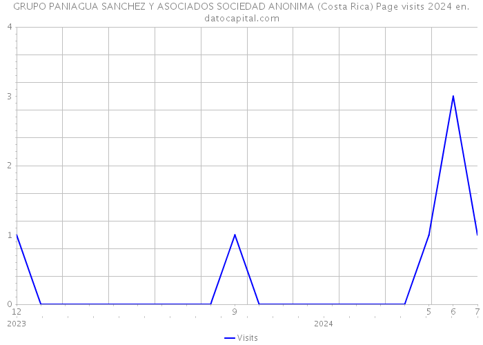 GRUPO PANIAGUA SANCHEZ Y ASOCIADOS SOCIEDAD ANONIMA (Costa Rica) Page visits 2024 