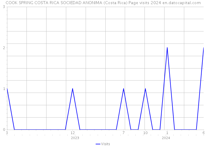 COOK SPRING COSTA RICA SOCIEDAD ANONIMA (Costa Rica) Page visits 2024 