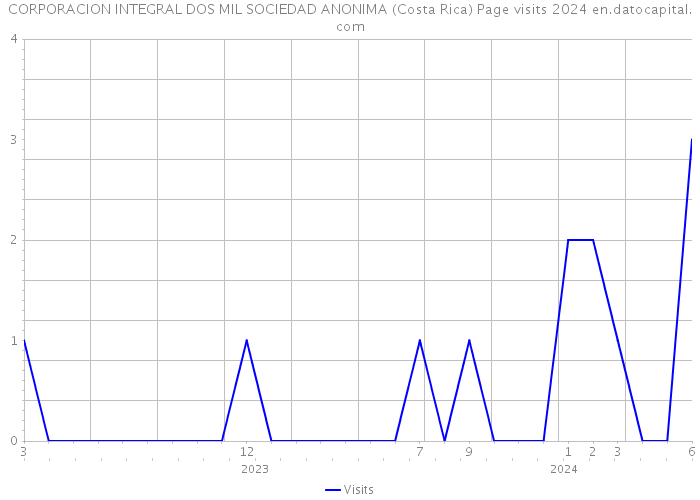 CORPORACION INTEGRAL DOS MIL SOCIEDAD ANONIMA (Costa Rica) Page visits 2024 