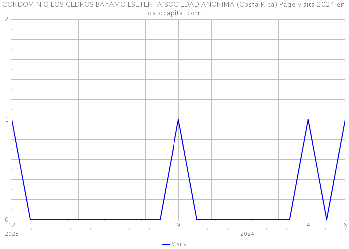 CONDOMINIO LOS CEDROS BAYAMO LSETENTA SOCIEDAD ANONIMA (Costa Rica) Page visits 2024 