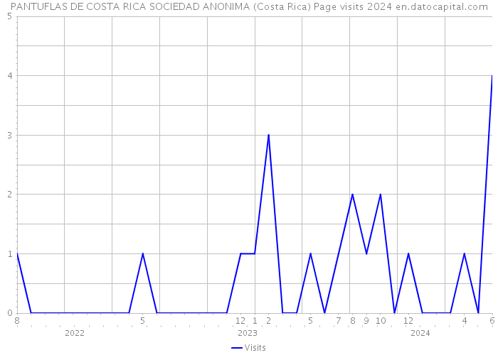 PANTUFLAS DE COSTA RICA SOCIEDAD ANONIMA (Costa Rica) Page visits 2024 