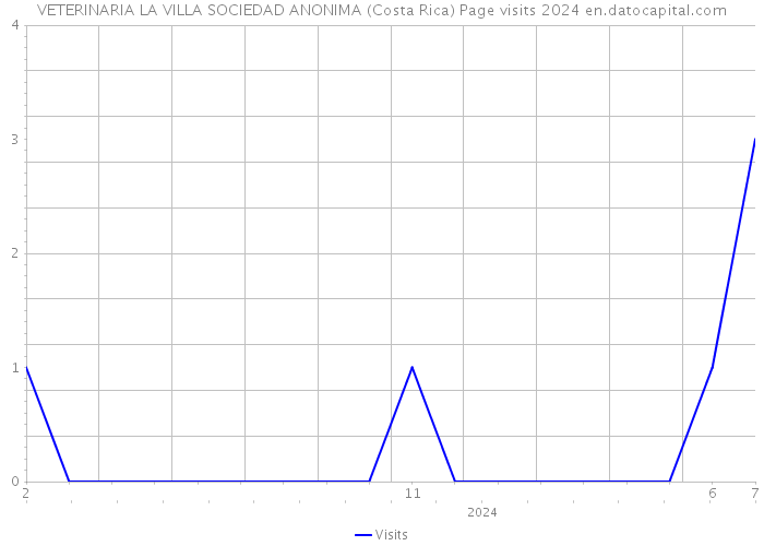 VETERINARIA LA VILLA SOCIEDAD ANONIMA (Costa Rica) Page visits 2024 