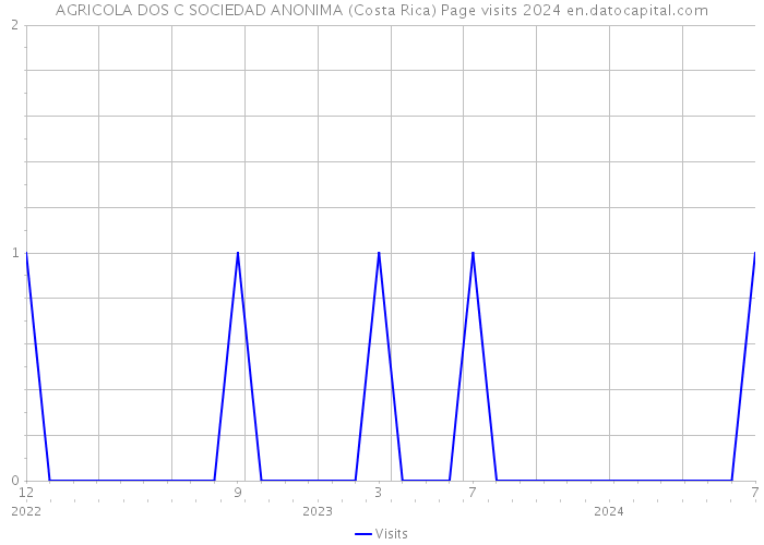 AGRICOLA DOS C SOCIEDAD ANONIMA (Costa Rica) Page visits 2024 