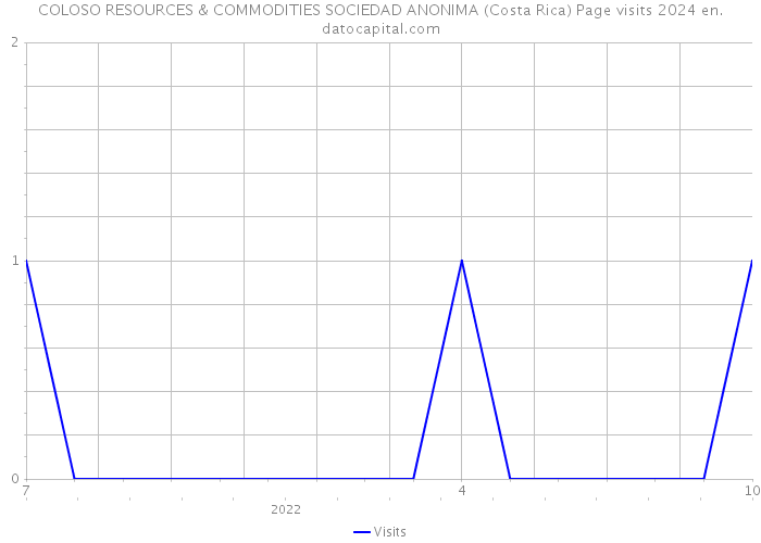 COLOSO RESOURCES & COMMODITIES SOCIEDAD ANONIMA (Costa Rica) Page visits 2024 