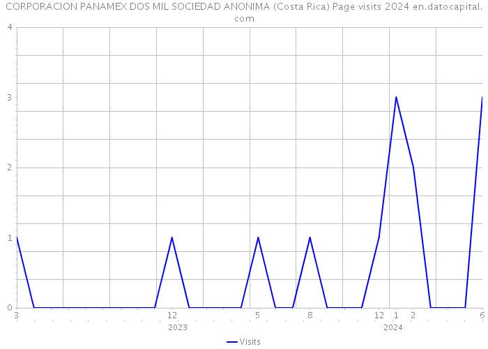 CORPORACION PANAMEX DOS MIL SOCIEDAD ANONIMA (Costa Rica) Page visits 2024 