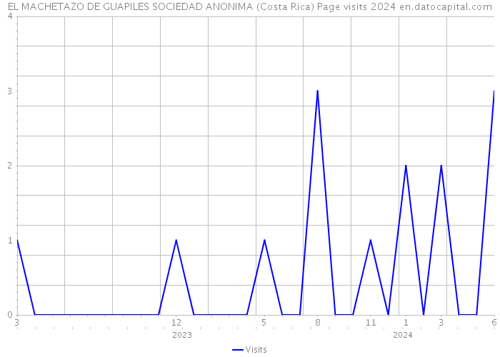 EL MACHETAZO DE GUAPILES SOCIEDAD ANONIMA (Costa Rica) Page visits 2024 