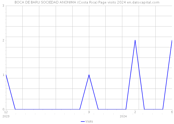 BOCA DE BARU SOCIEDAD ANONIMA (Costa Rica) Page visits 2024 