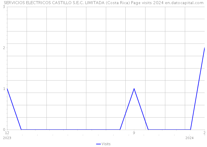 SERVICIOS ELECTRICOS CASTILLO S.E.C. LIMITADA (Costa Rica) Page visits 2024 