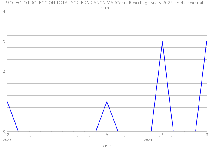 PROTECTO PROTECCION TOTAL SOCIEDAD ANONIMA (Costa Rica) Page visits 2024 