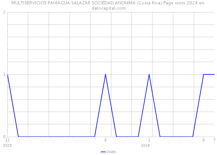 MULTISERVICIOS PANIAGUA SALAZAR SOCIEDAD ANONIMA (Costa Rica) Page visits 2024 