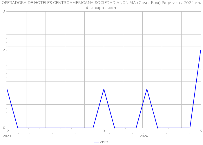 OPERADORA DE HOTELES CENTROAMERICANA SOCIEDAD ANONIMA (Costa Rica) Page visits 2024 