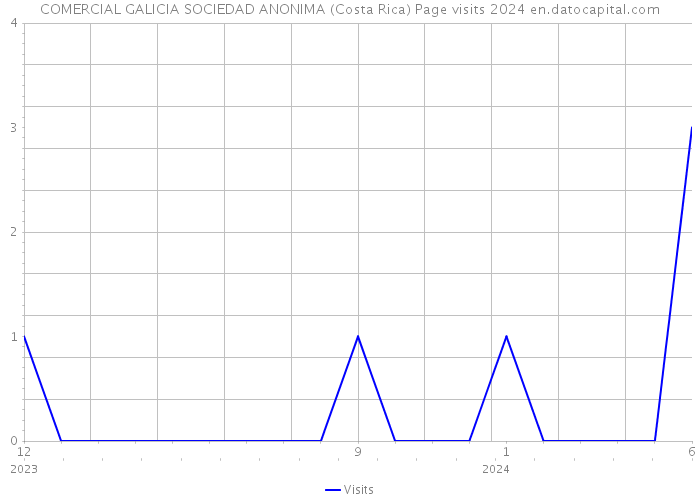 COMERCIAL GALICIA SOCIEDAD ANONIMA (Costa Rica) Page visits 2024 