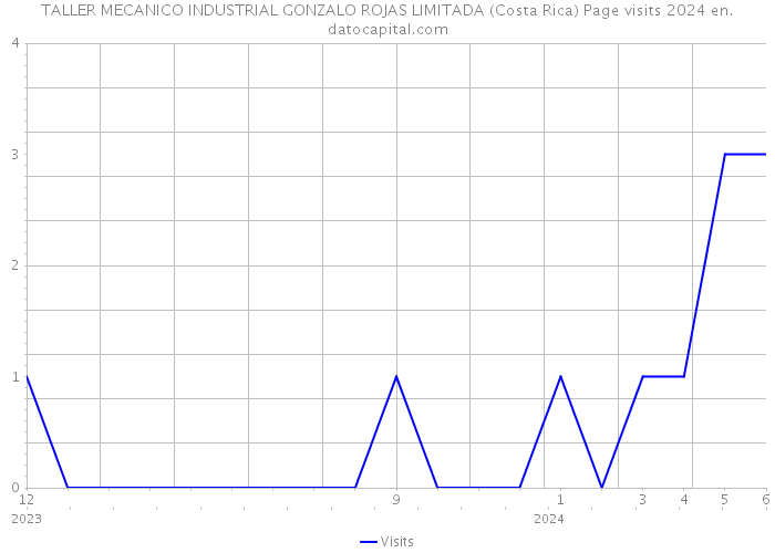 TALLER MECANICO INDUSTRIAL GONZALO ROJAS LIMITADA (Costa Rica) Page visits 2024 