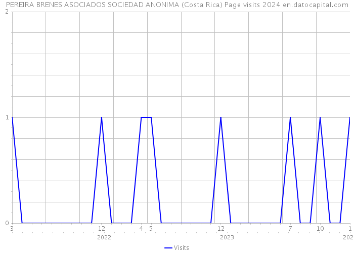 PEREIRA BRENES ASOCIADOS SOCIEDAD ANONIMA (Costa Rica) Page visits 2024 