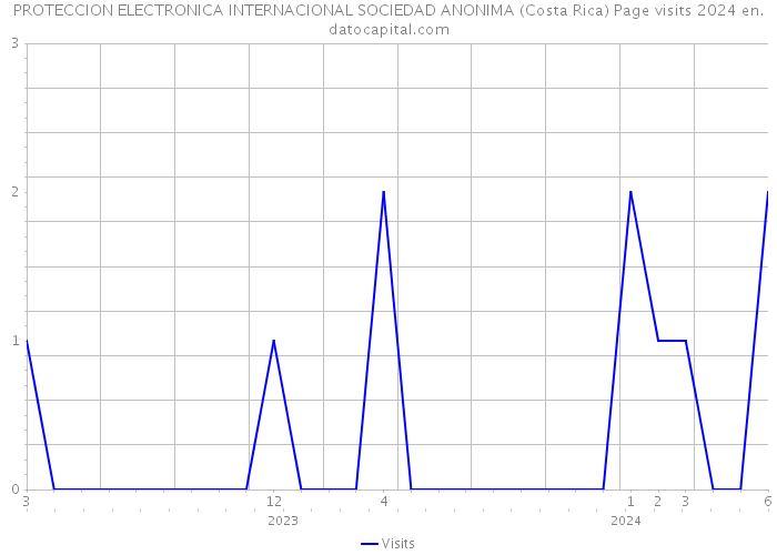 PROTECCION ELECTRONICA INTERNACIONAL SOCIEDAD ANONIMA (Costa Rica) Page visits 2024 