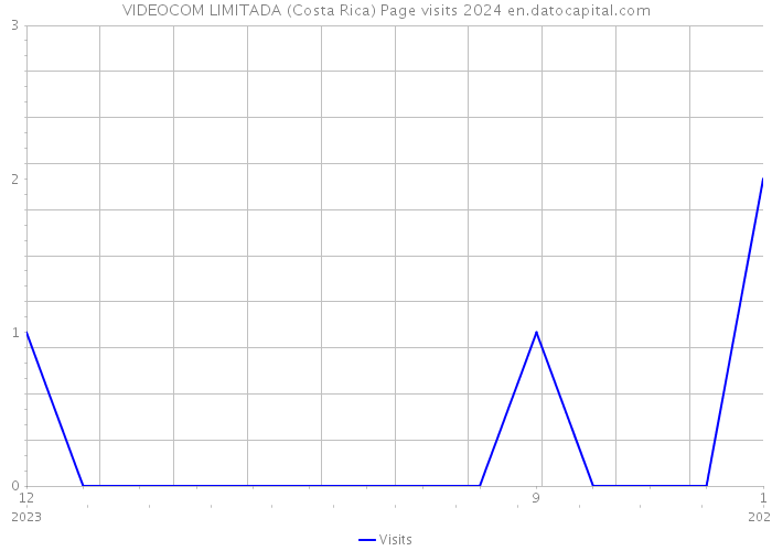 VIDEOCOM LIMITADA (Costa Rica) Page visits 2024 