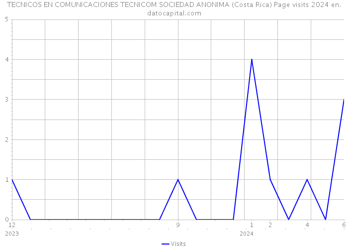 TECNICOS EN COMUNICACIONES TECNICOM SOCIEDAD ANONIMA (Costa Rica) Page visits 2024 