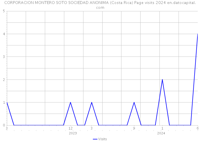 CORPORACION MONTERO SOTO SOCIEDAD ANONIMA (Costa Rica) Page visits 2024 