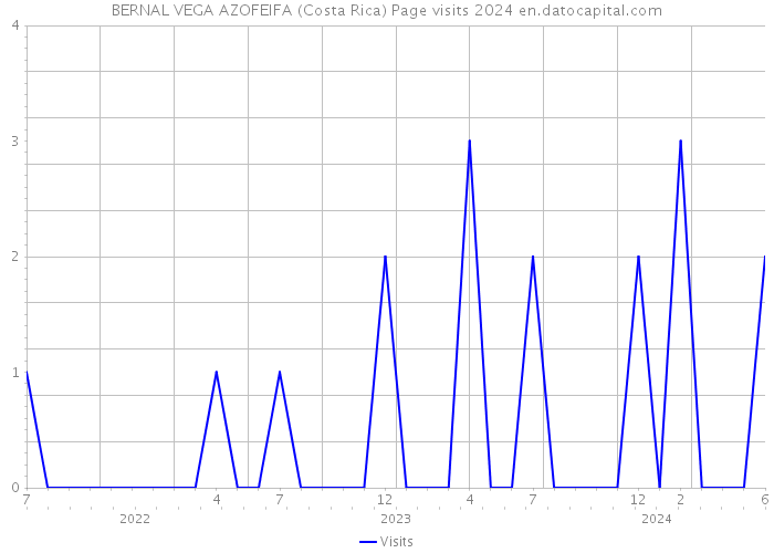 BERNAL VEGA AZOFEIFA (Costa Rica) Page visits 2024 
