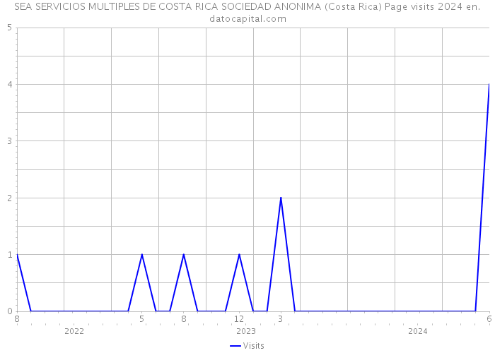 SEA SERVICIOS MULTIPLES DE COSTA RICA SOCIEDAD ANONIMA (Costa Rica) Page visits 2024 