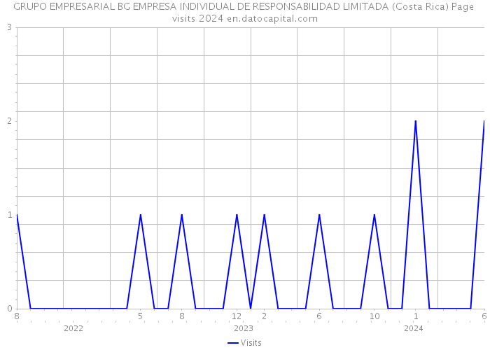GRUPO EMPRESARIAL BG EMPRESA INDIVIDUAL DE RESPONSABILIDAD LIMITADA (Costa Rica) Page visits 2024 