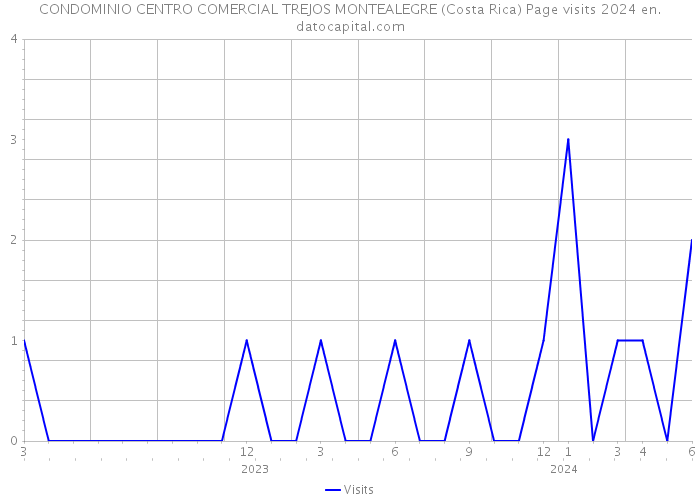 CONDOMINIO CENTRO COMERCIAL TREJOS MONTEALEGRE (Costa Rica) Page visits 2024 