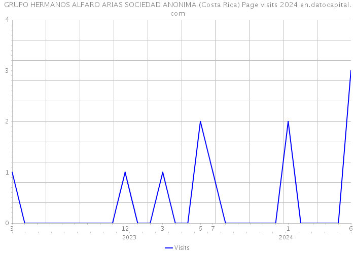 GRUPO HERMANOS ALFARO ARIAS SOCIEDAD ANONIMA (Costa Rica) Page visits 2024 