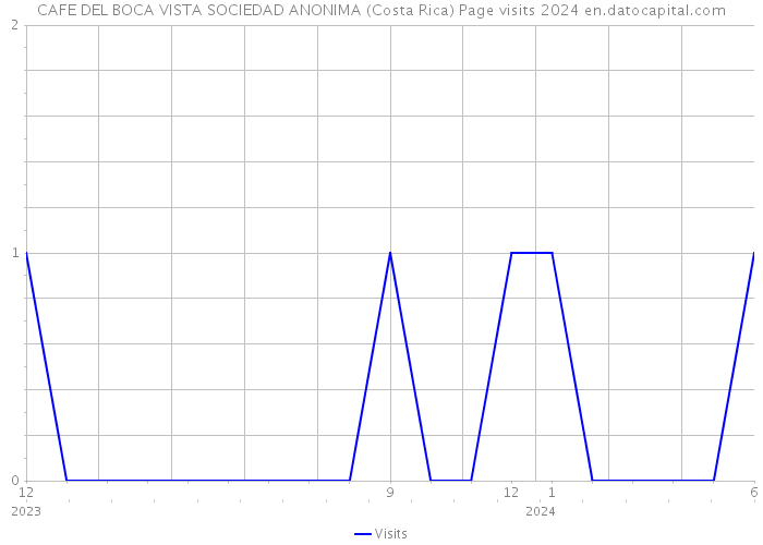 CAFE DEL BOCA VISTA SOCIEDAD ANONIMA (Costa Rica) Page visits 2024 