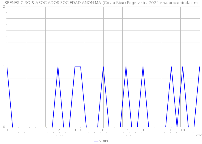 BRENES GIRO & ASOCIADOS SOCIEDAD ANONIMA (Costa Rica) Page visits 2024 