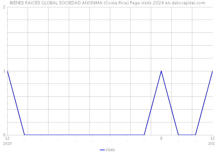 BIENES RAICES GLOBAL SOCIEDAD ANONIMA (Costa Rica) Page visits 2024 
