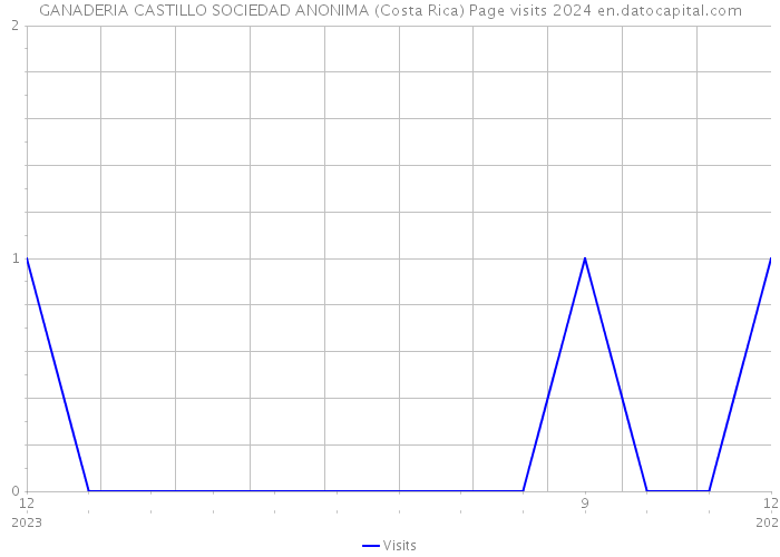 GANADERIA CASTILLO SOCIEDAD ANONIMA (Costa Rica) Page visits 2024 