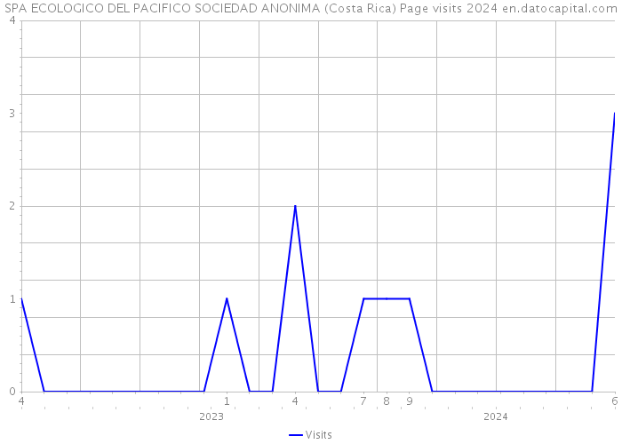 SPA ECOLOGICO DEL PACIFICO SOCIEDAD ANONIMA (Costa Rica) Page visits 2024 