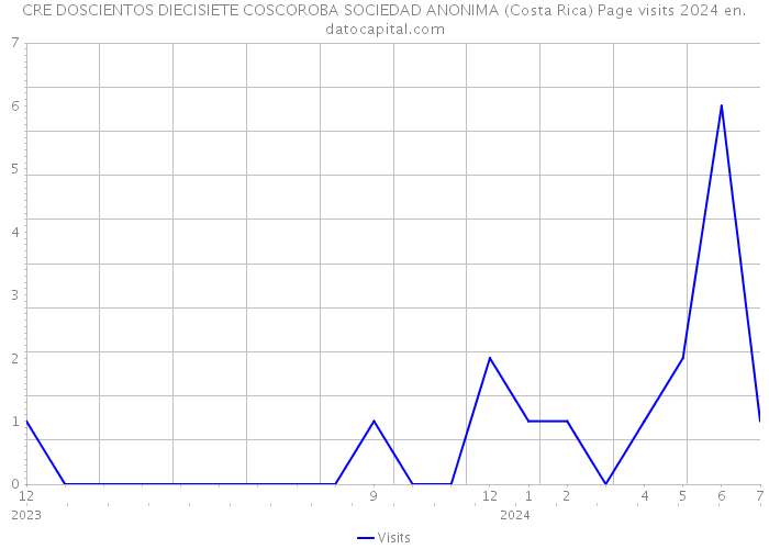 CRE DOSCIENTOS DIECISIETE COSCOROBA SOCIEDAD ANONIMA (Costa Rica) Page visits 2024 