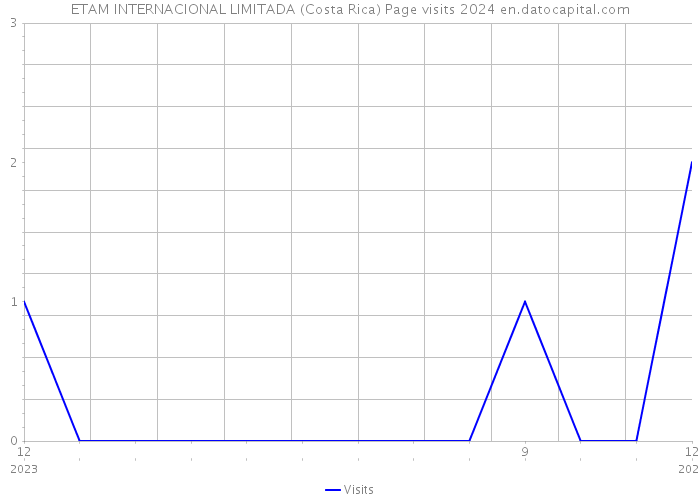 ETAM INTERNACIONAL LIMITADA (Costa Rica) Page visits 2024 