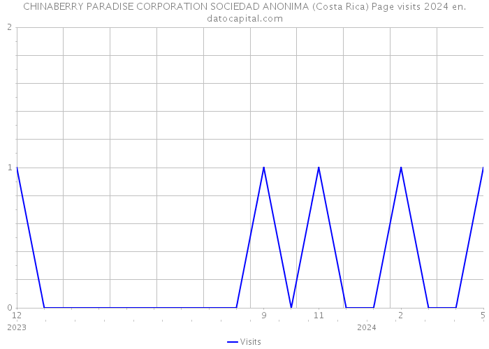 CHINABERRY PARADISE CORPORATION SOCIEDAD ANONIMA (Costa Rica) Page visits 2024 