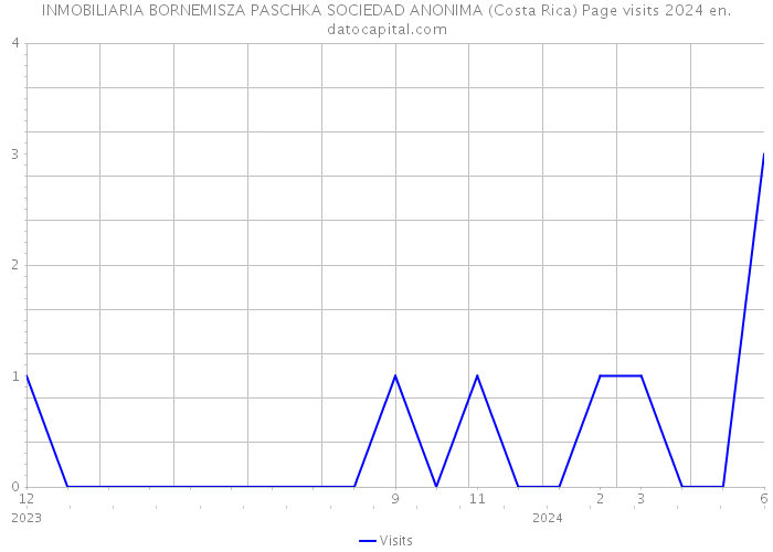 INMOBILIARIA BORNEMISZA PASCHKA SOCIEDAD ANONIMA (Costa Rica) Page visits 2024 