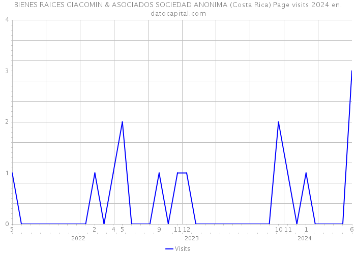 BIENES RAICES GIACOMIN & ASOCIADOS SOCIEDAD ANONIMA (Costa Rica) Page visits 2024 