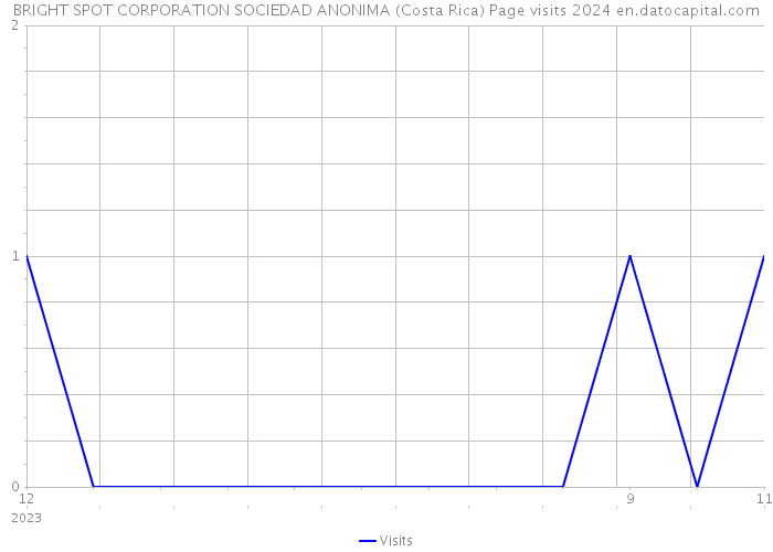 BRIGHT SPOT CORPORATION SOCIEDAD ANONIMA (Costa Rica) Page visits 2024 