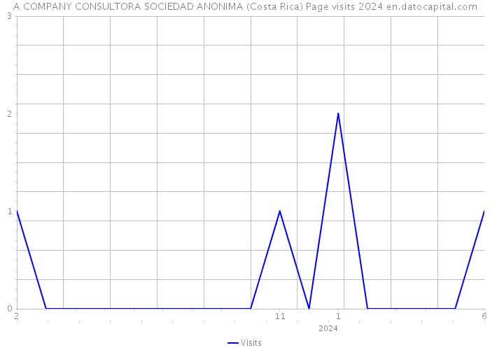 A COMPANY CONSULTORA SOCIEDAD ANONIMA (Costa Rica) Page visits 2024 
