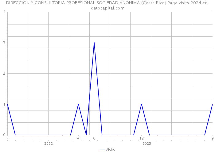 DIRECCION Y CONSULTORIA PROFESIONAL SOCIEDAD ANONIMA (Costa Rica) Page visits 2024 