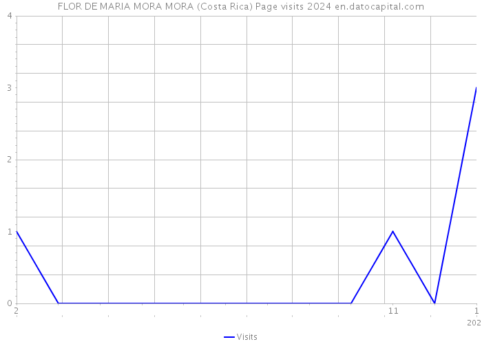 FLOR DE MARIA MORA MORA (Costa Rica) Page visits 2024 