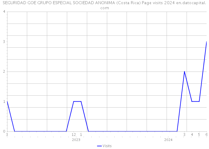 SEGURIDAD GOE GRUPO ESPECIAL SOCIEDAD ANONIMA (Costa Rica) Page visits 2024 